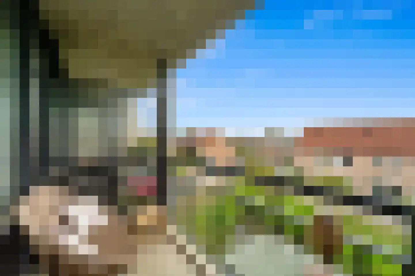 Fluitekruid 36 Den Hoorn thumbnail 5