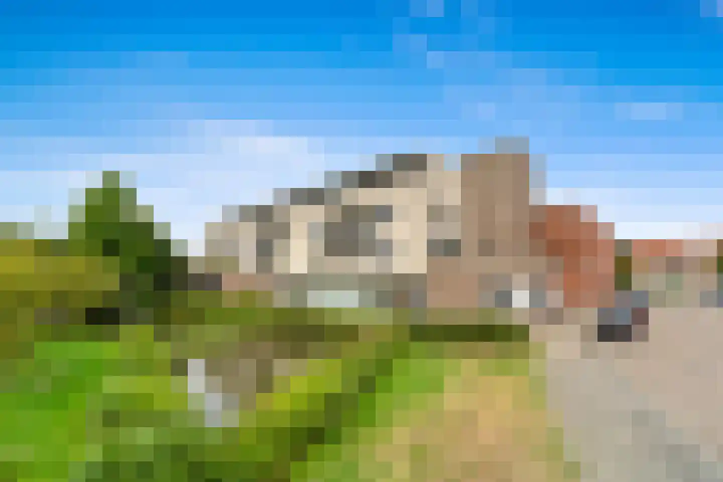 Fluitekruid 36 Den Hoorn thumbnail 7