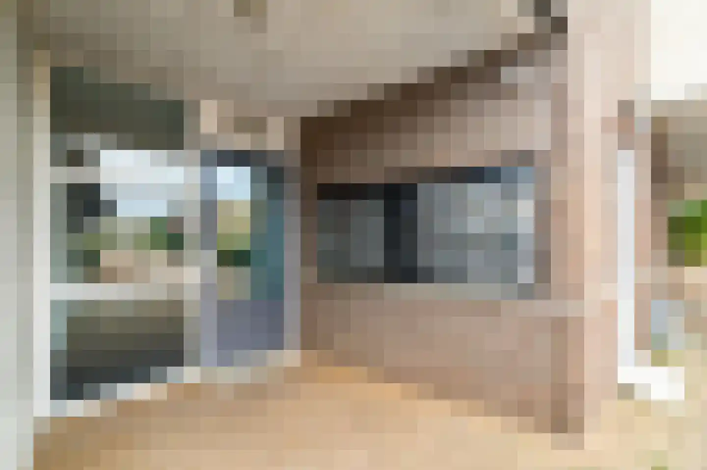 Fluitekruid 36 Den Hoorn thumbnail 9