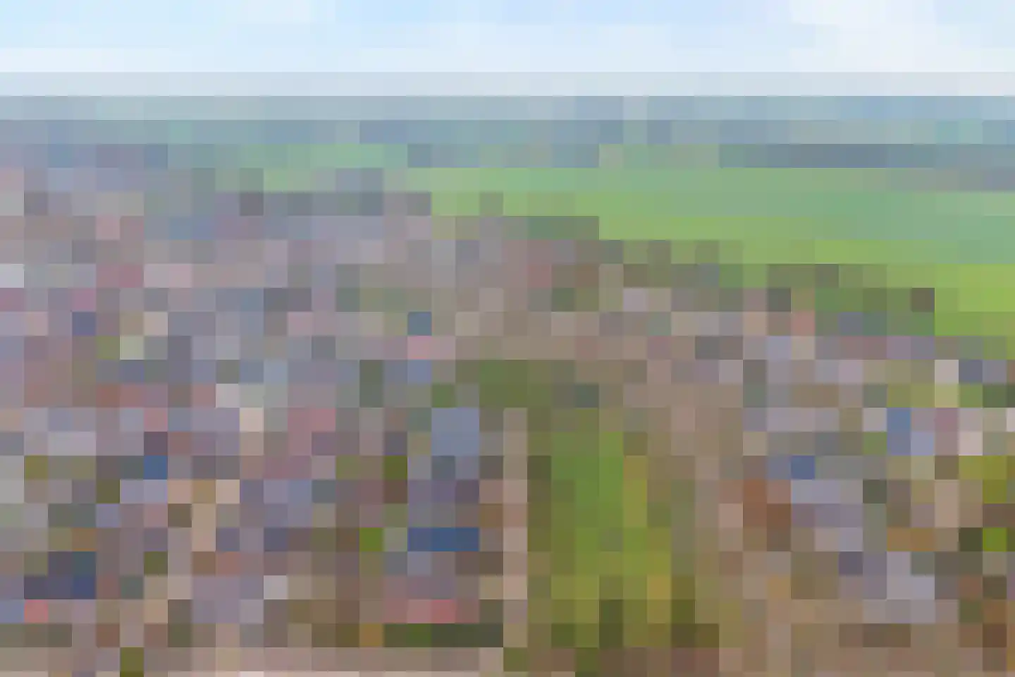 Fluitekruid 36 Hardenberg thumbnail 10