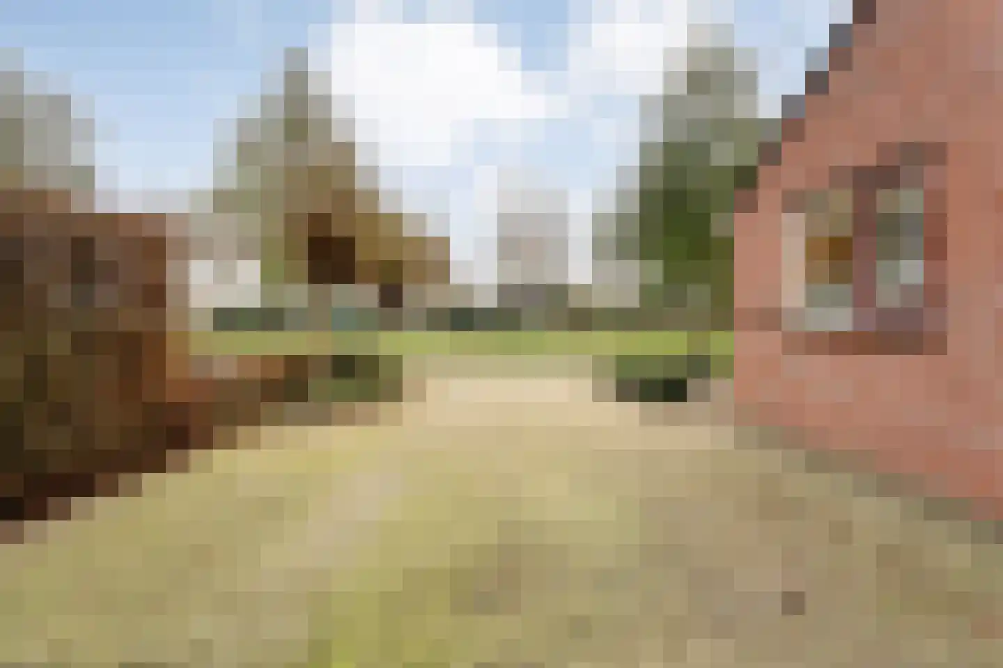 Fluitekruid 36 Hardenberg thumbnail 11