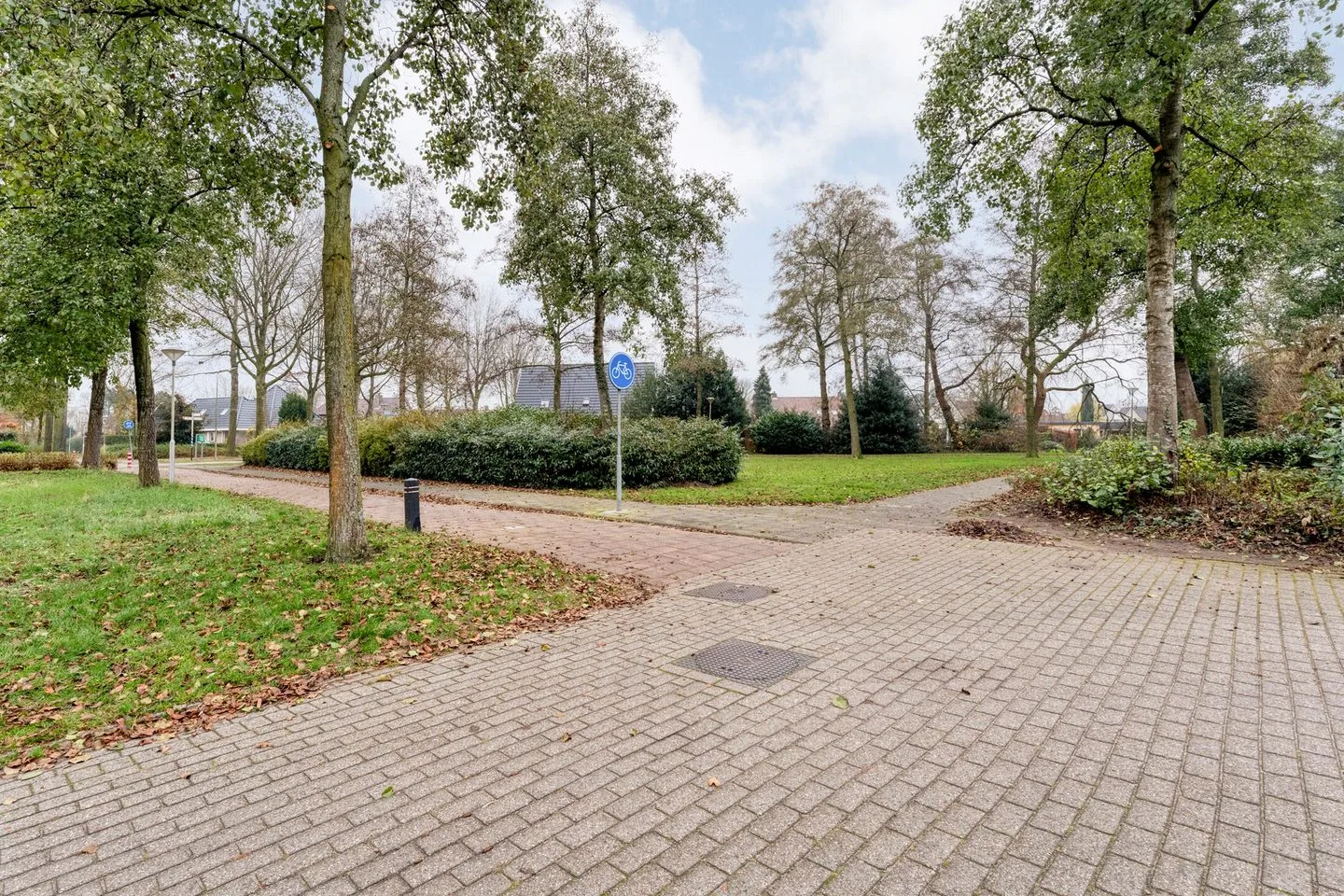 Fluitekruid 36 Hardenberg thumbnail 12