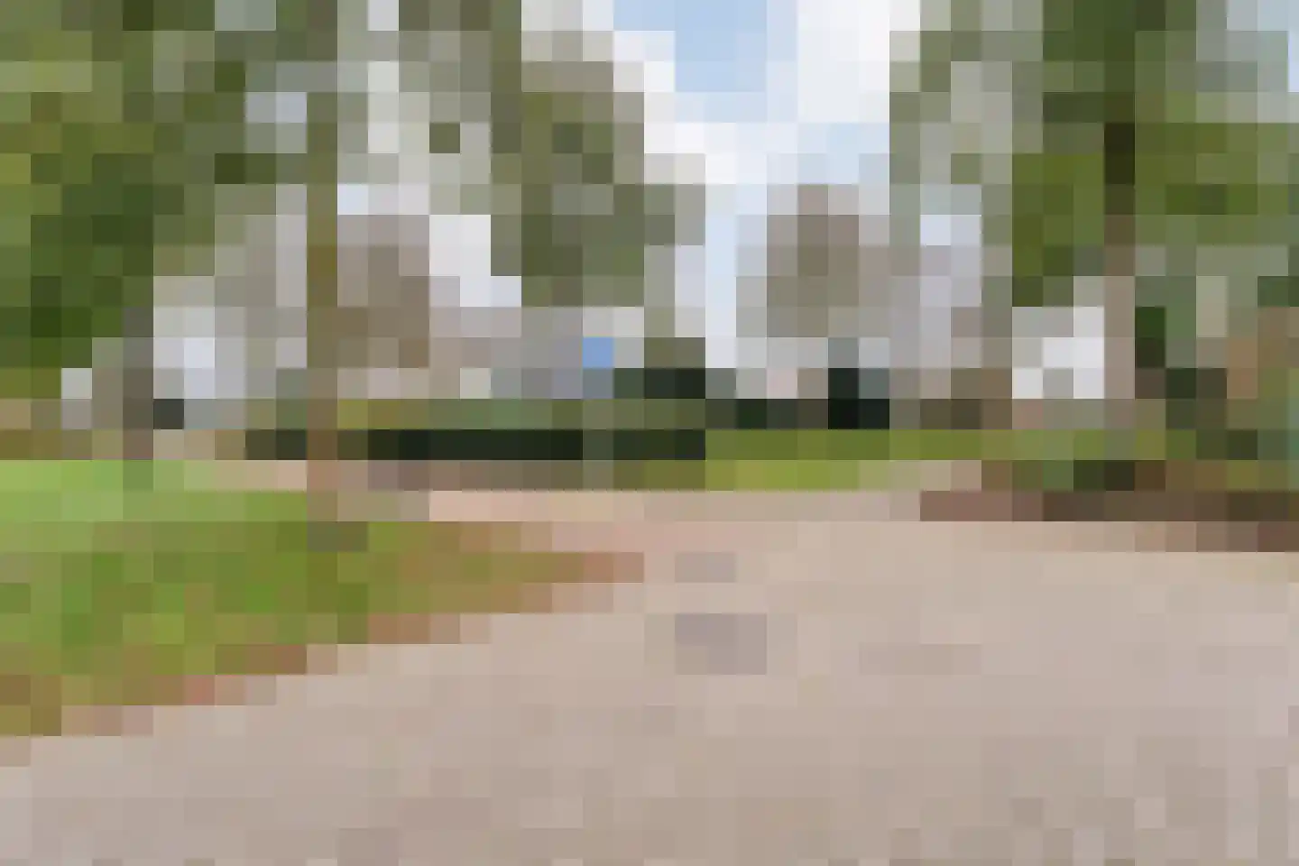 Fluitekruid 36 Hardenberg thumbnail 12