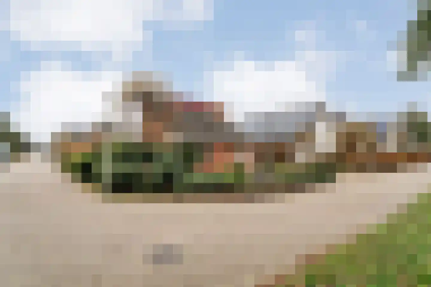 Fluitekruid 36 Hardenberg thumbnail 13