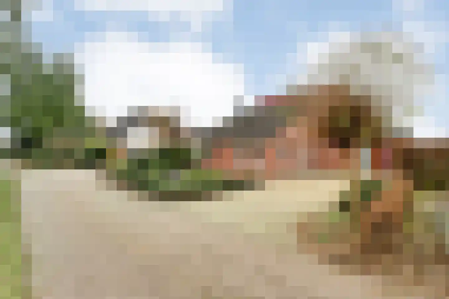 Fluitekruid 36 Hardenberg thumbnail 14