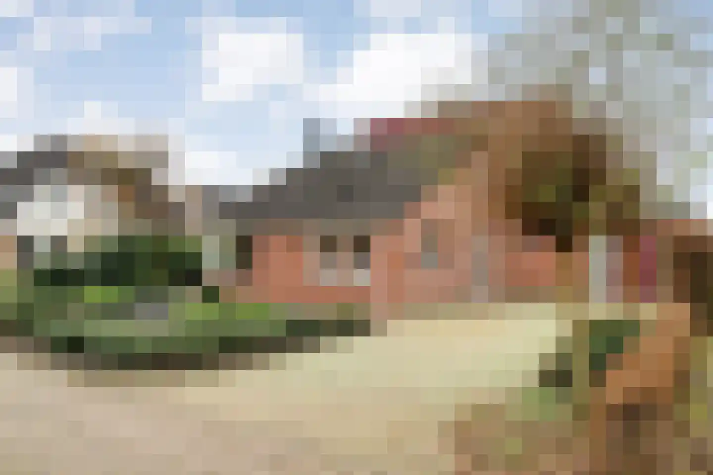 Fluitekruid 36 Hardenberg thumbnail 15