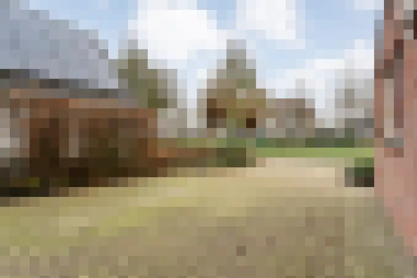 Fluitekruid 36 Hardenberg thumbnail 16