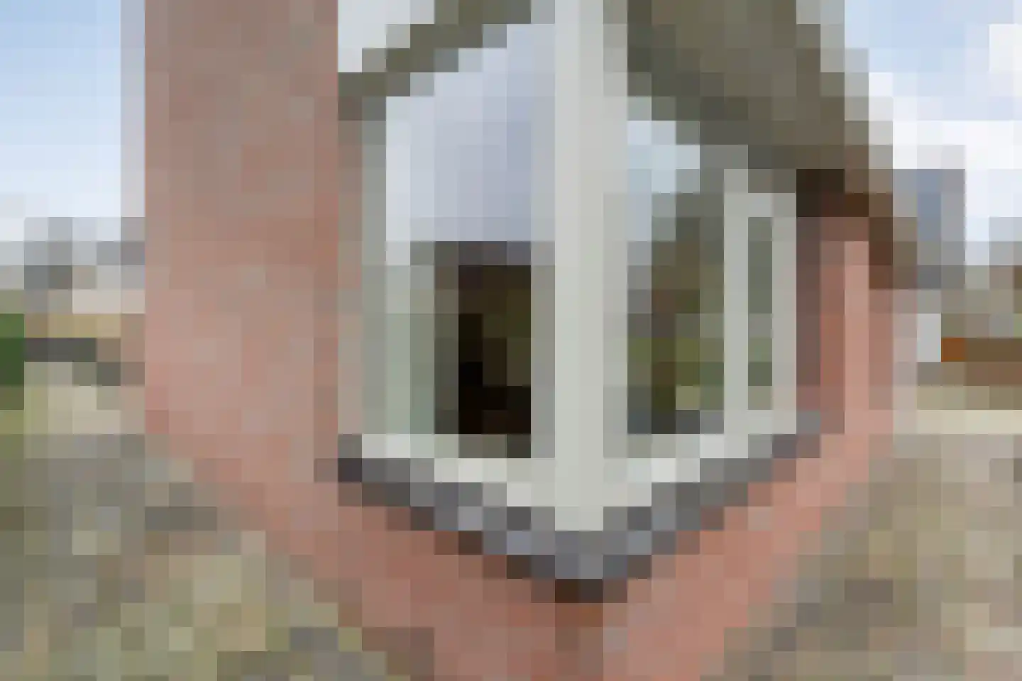 Fluitekruid 36 Hardenberg thumbnail 17