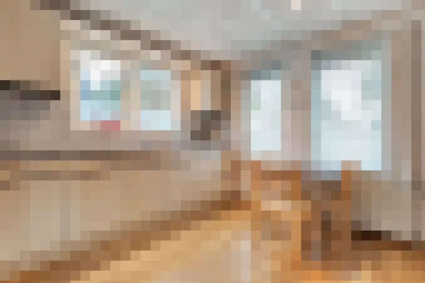 Fluitekruid 36 Hardenberg thumbnail 28