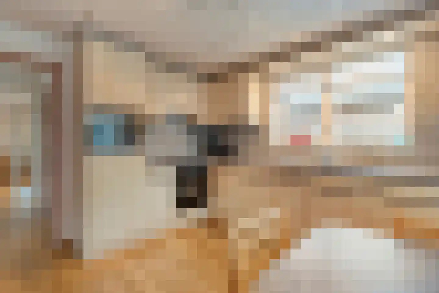 Fluitekruid 36 Hardenberg thumbnail 29