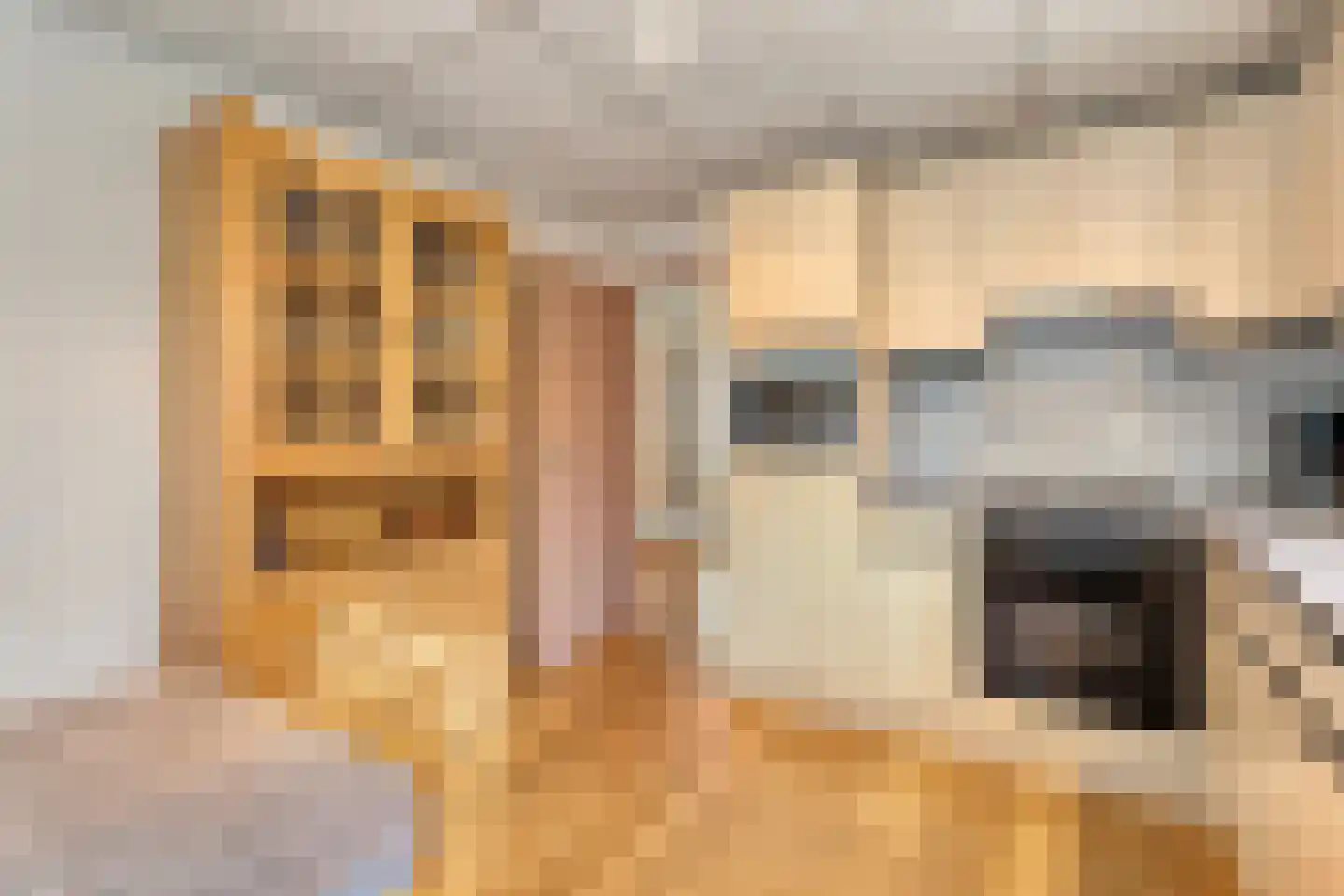 Fluitekruid 36 Hardenberg thumbnail 30