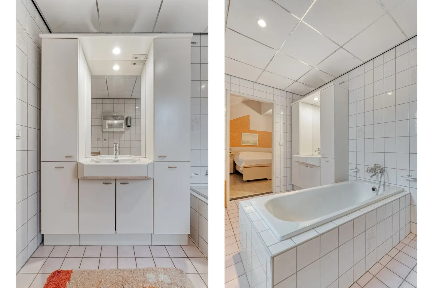 Fluitekruid 36 Hardenberg thumbnail 41