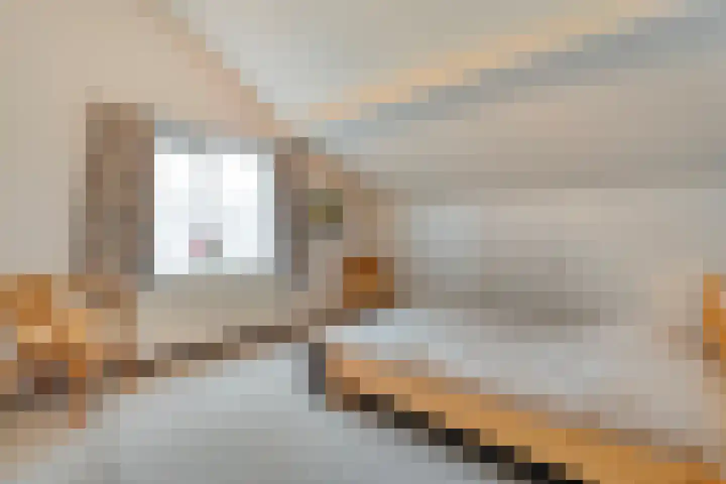 Fluitekruid 36 Hardenberg thumbnail 42
