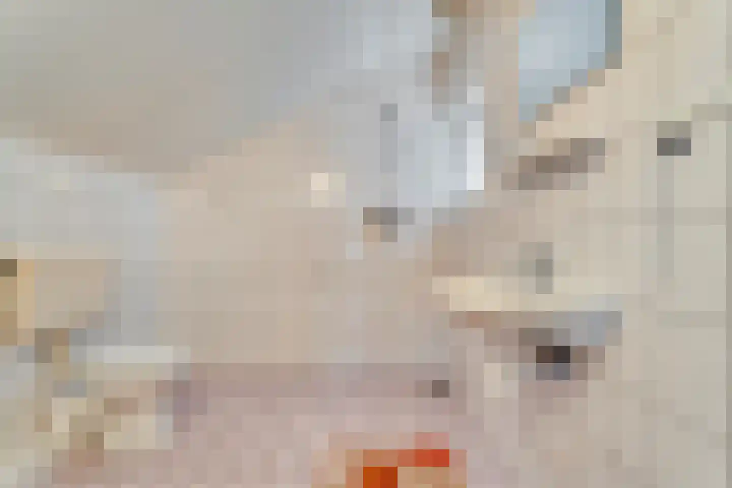 Fluitekruid 36 Hardenberg thumbnail 46