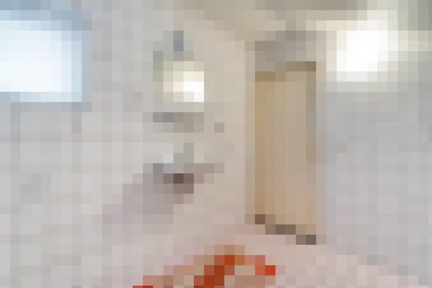 Fluitekruid 36 Hardenberg thumbnail 47