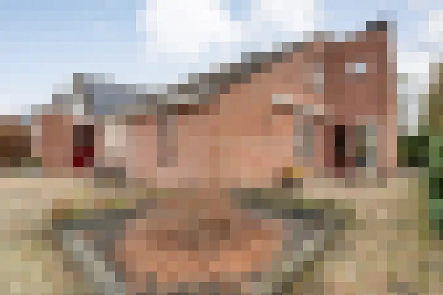 Fluitekruid 36 Hardenberg thumbnail 49