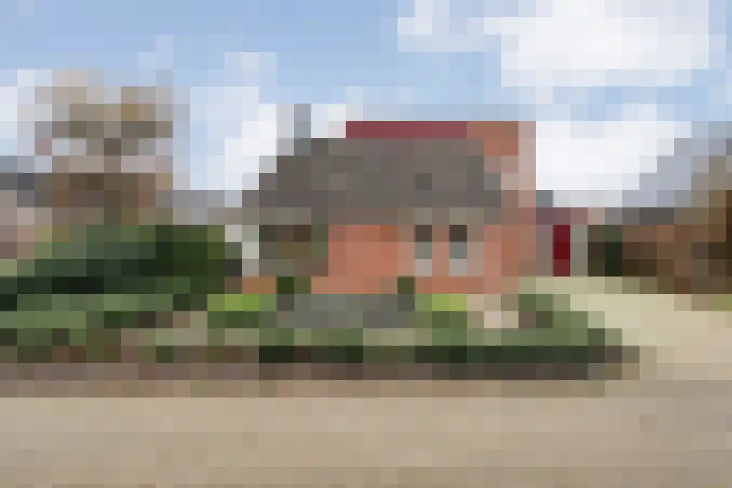 Fluitekruid 36 Hardenberg thumbnail 5