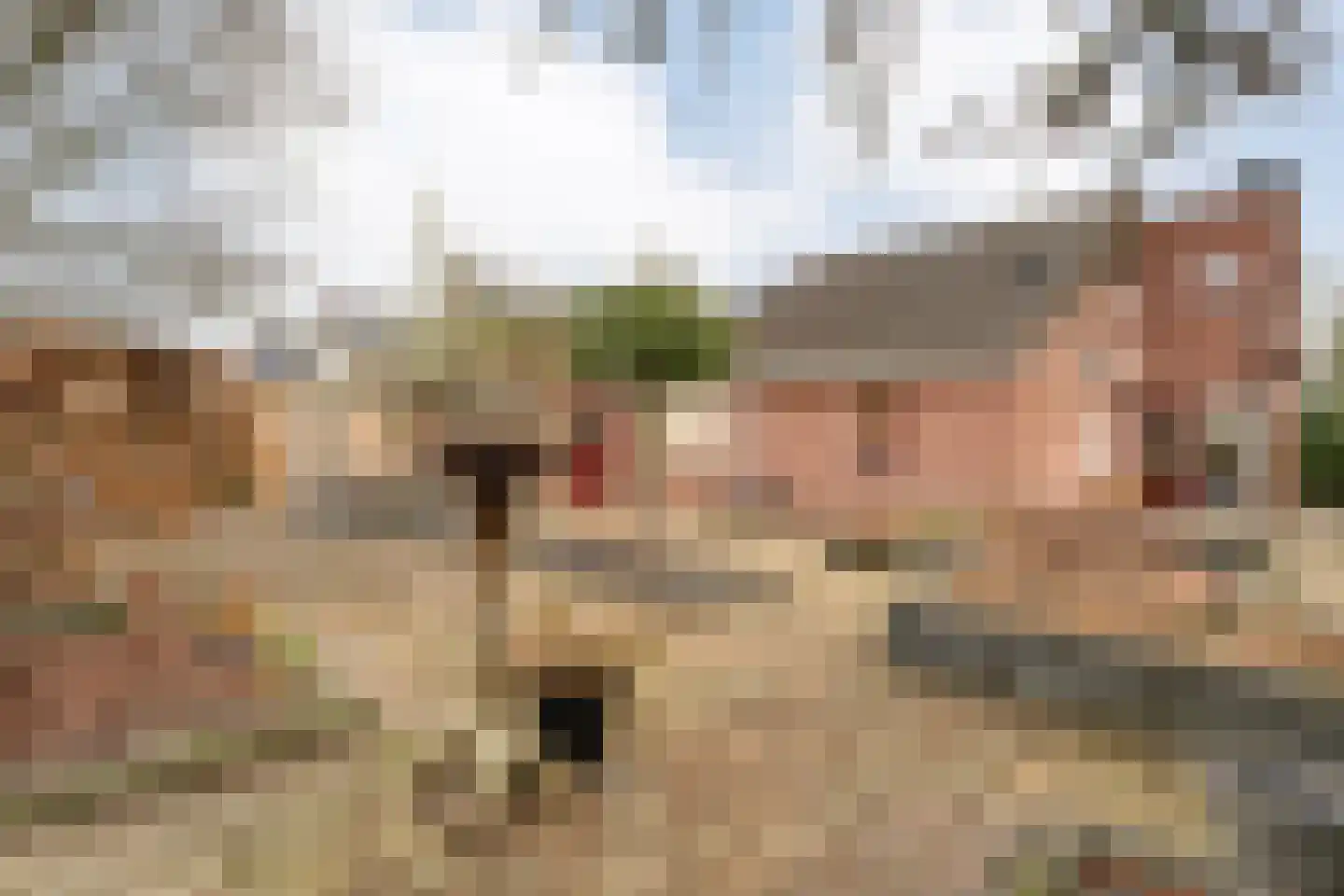 Fluitekruid 36 Hardenberg thumbnail 50