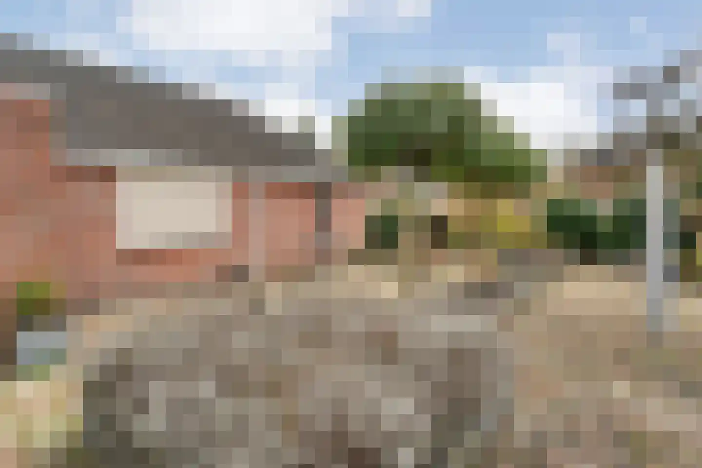 Fluitekruid 36 Hardenberg thumbnail 52