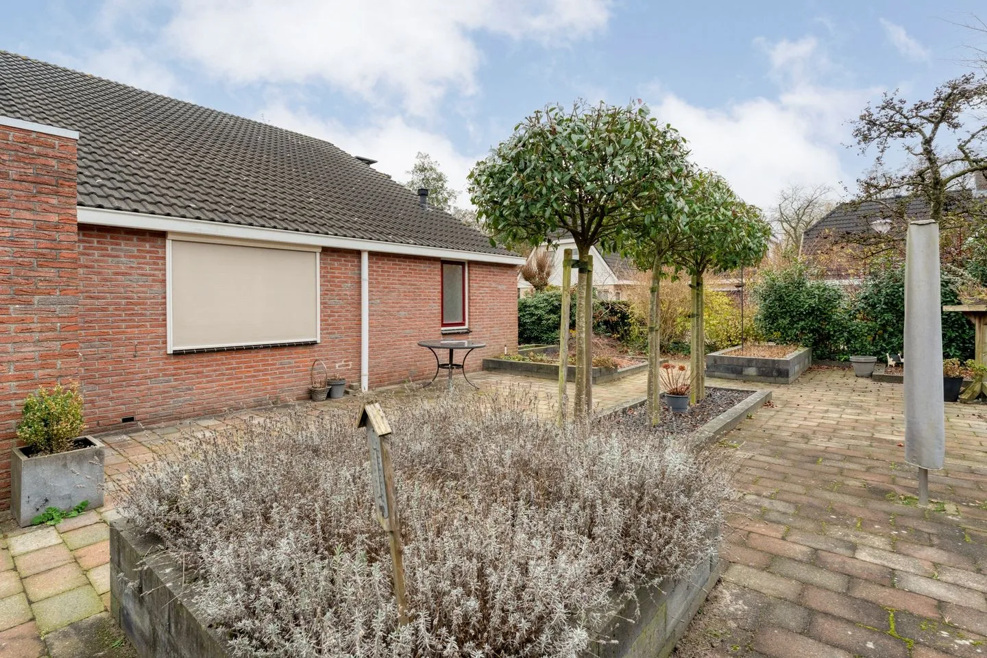 Fluitekruid 36 Hardenberg thumbnail 52