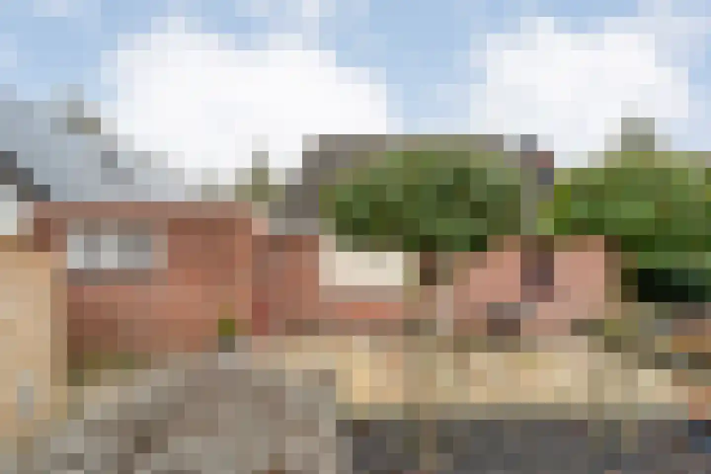 Fluitekruid 36 Hardenberg thumbnail 53