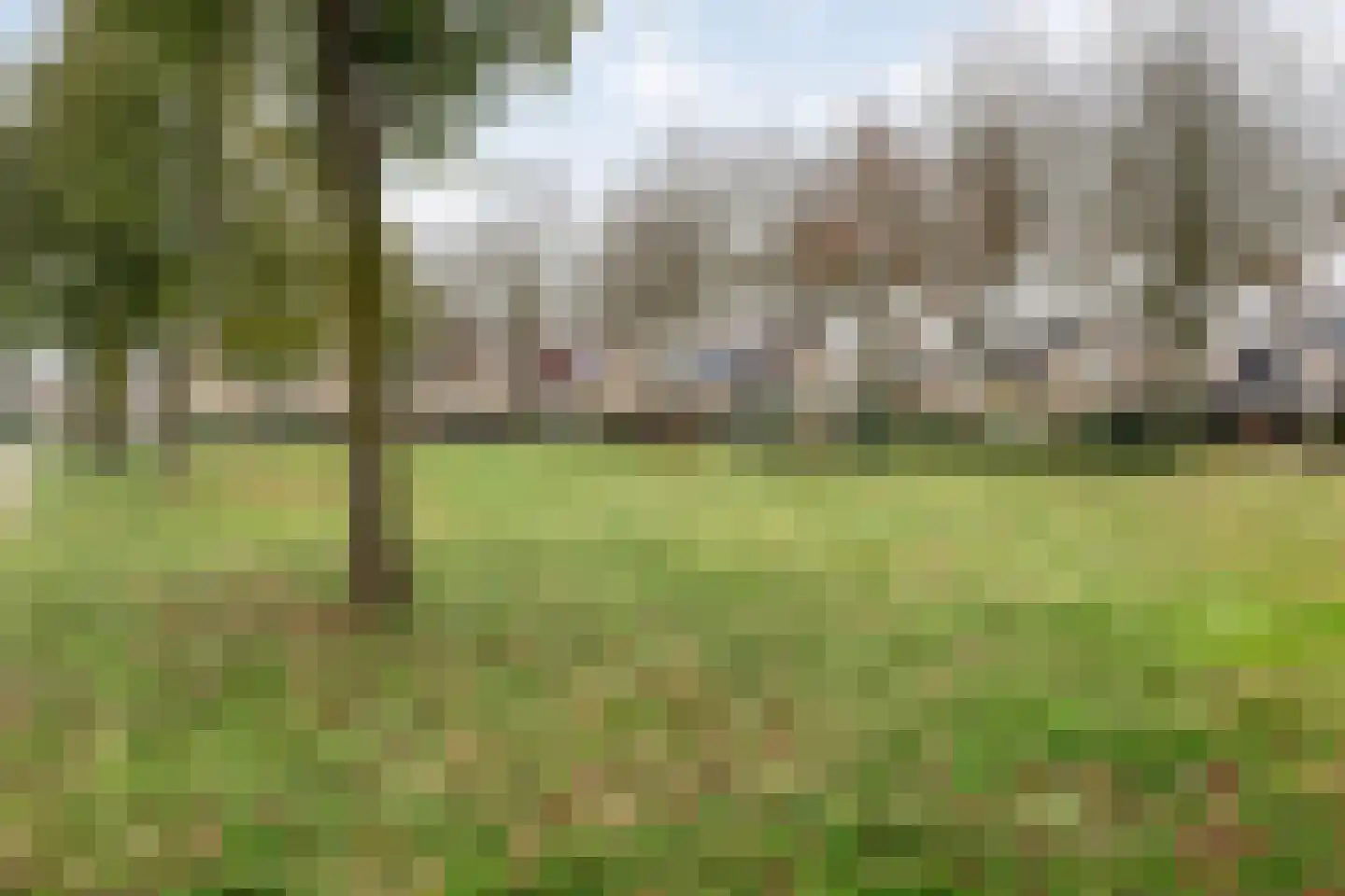 Fluitekruid 36 Hardenberg thumbnail 54