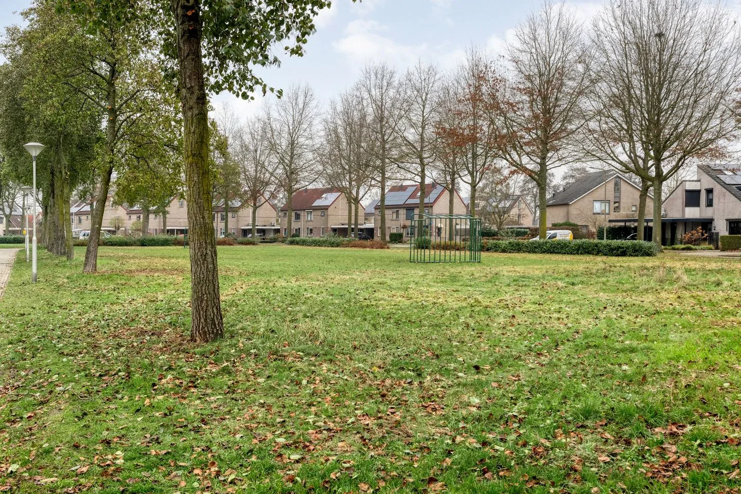 Fluitekruid 36 Hardenberg thumbnail 54