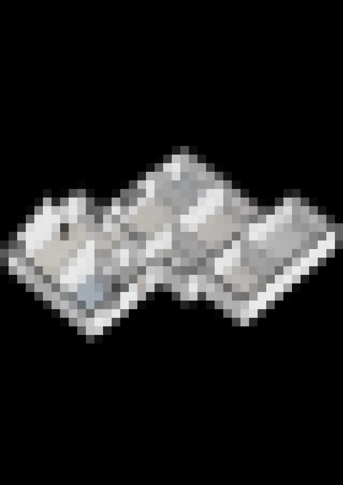 Fluitekruid 36 Hardenberg thumbnail 56