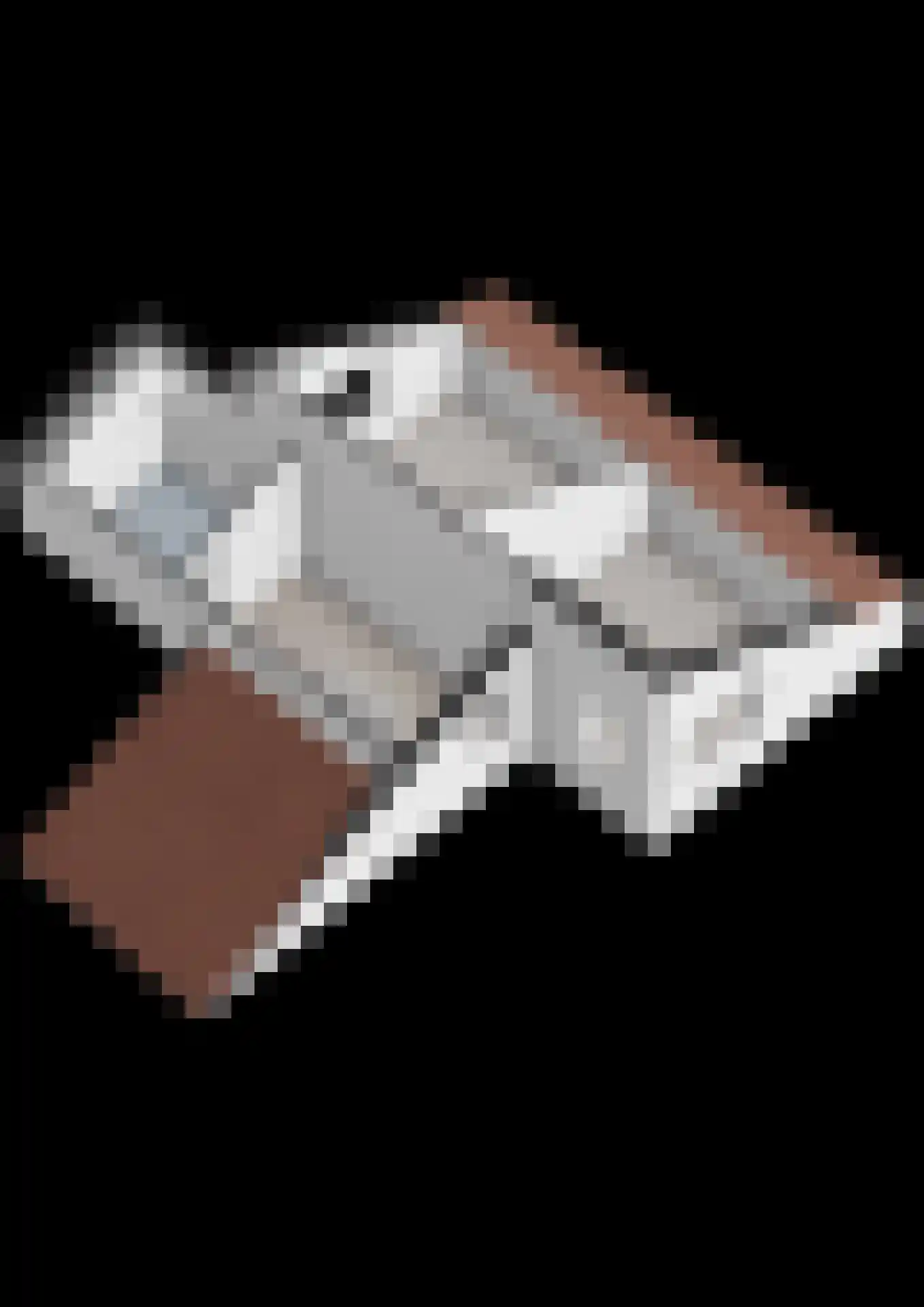 Fluitekruid 36 Hardenberg thumbnail 58