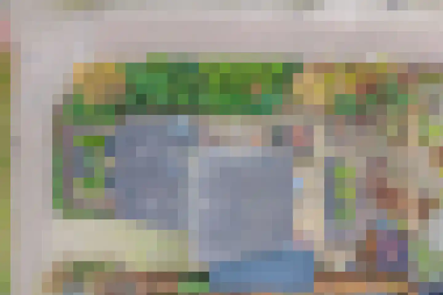 Fluitekruid 36 Hardenberg thumbnail 6
