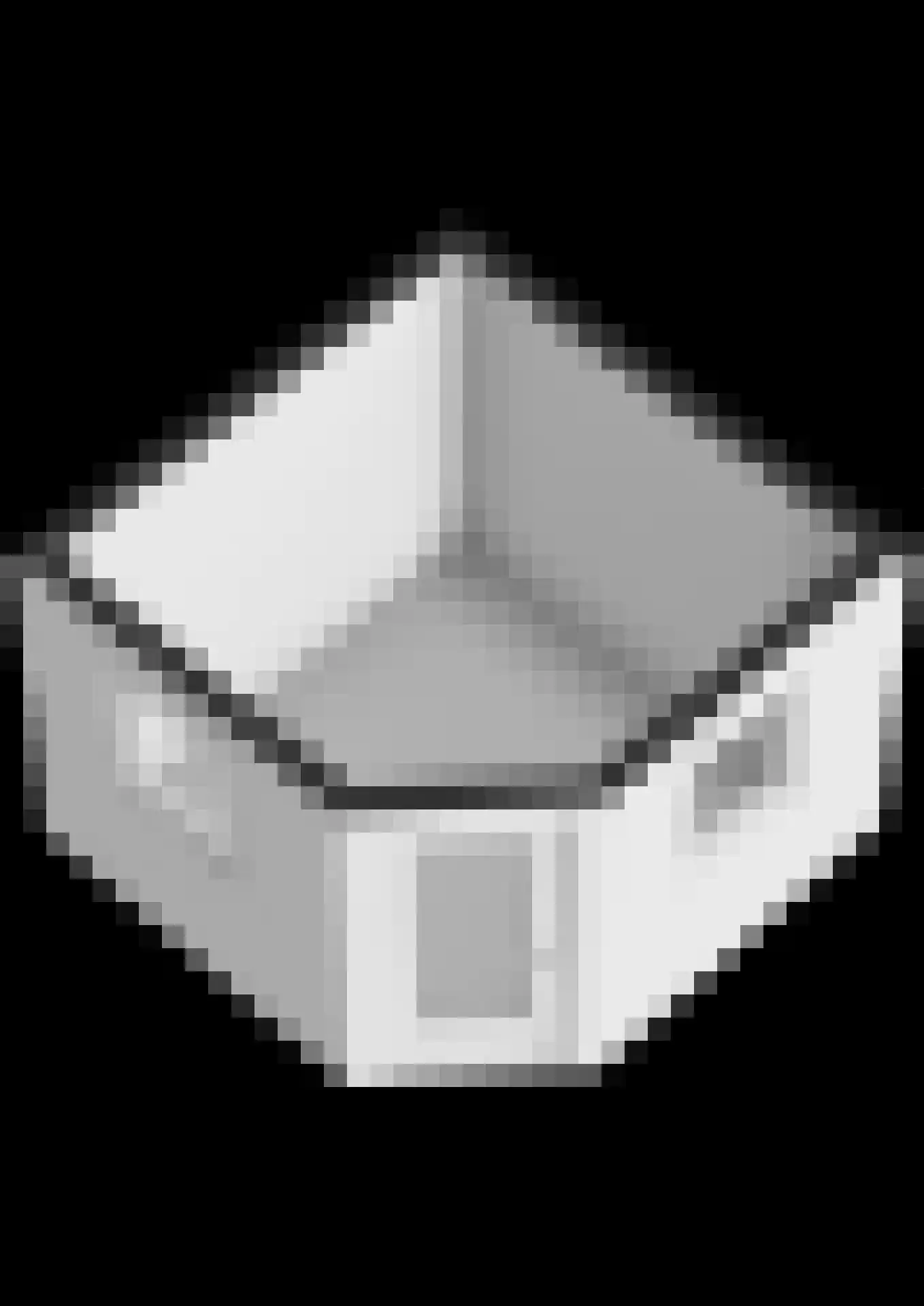 Fluitekruid 36 Hardenberg thumbnail 60