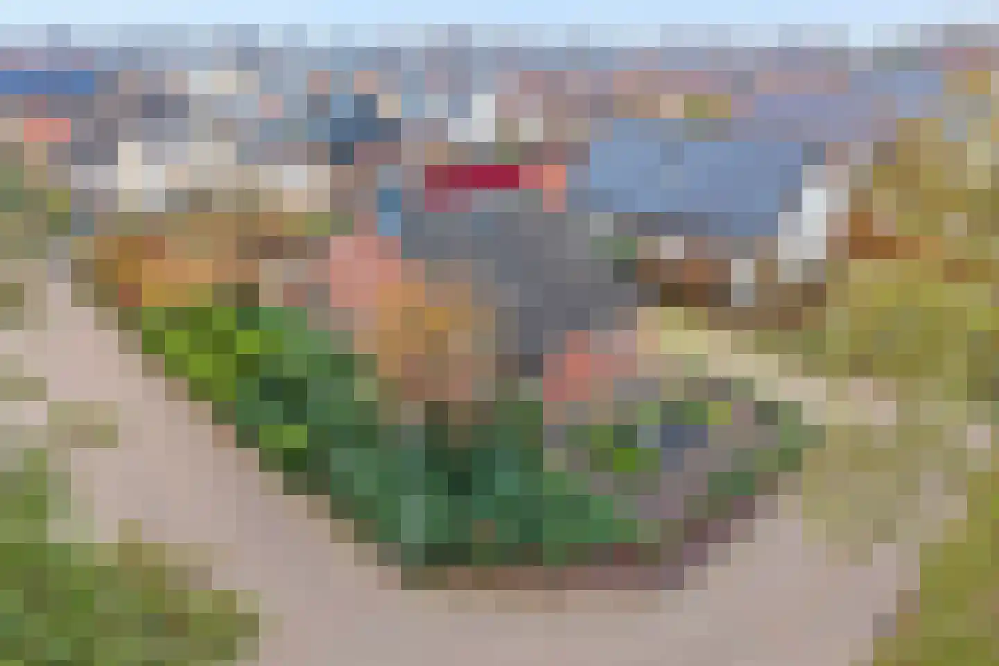 Fluitekruid 36 Hardenberg thumbnail 7