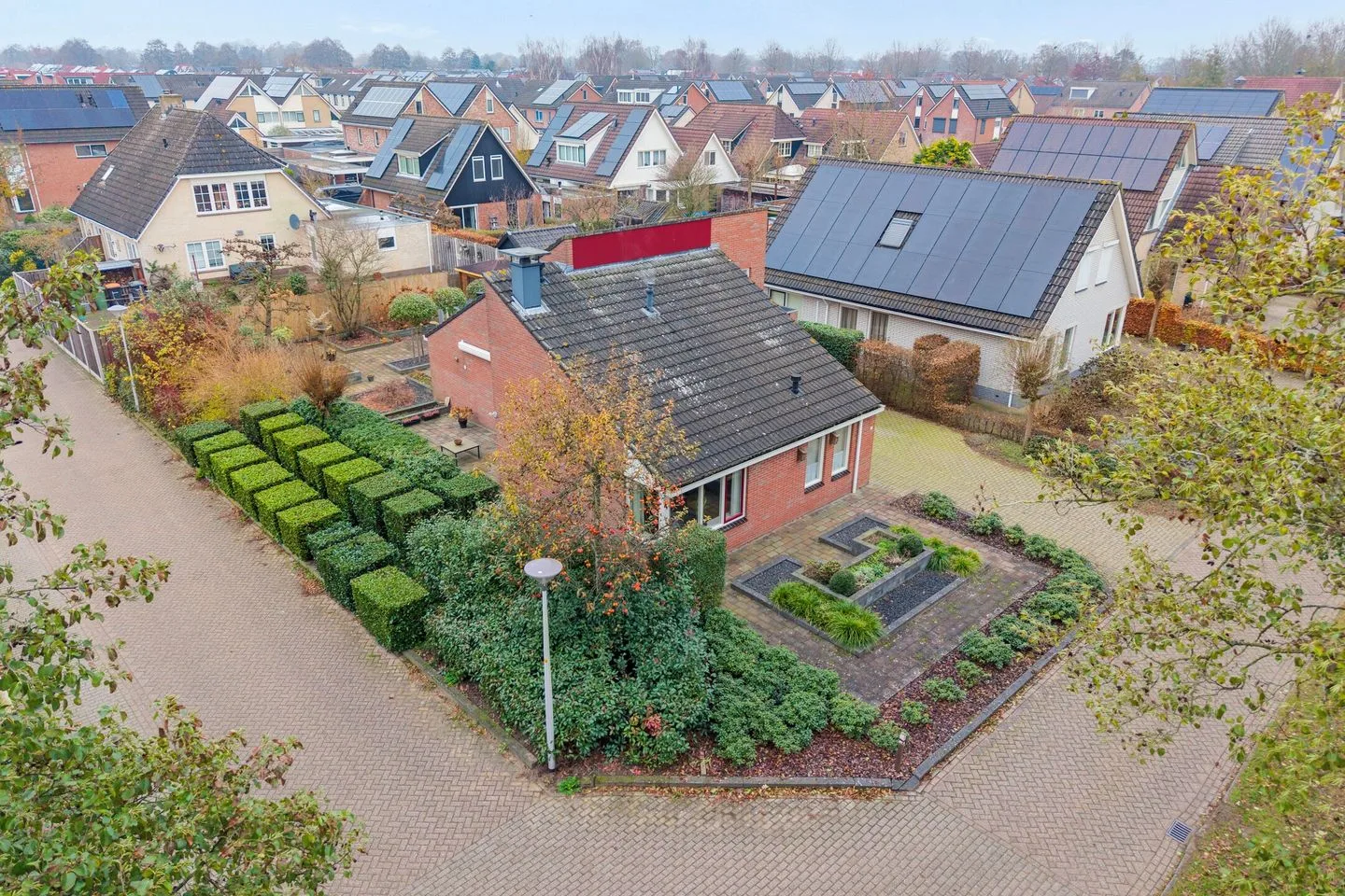 Fluitekruid 36 Hardenberg thumbnail 7