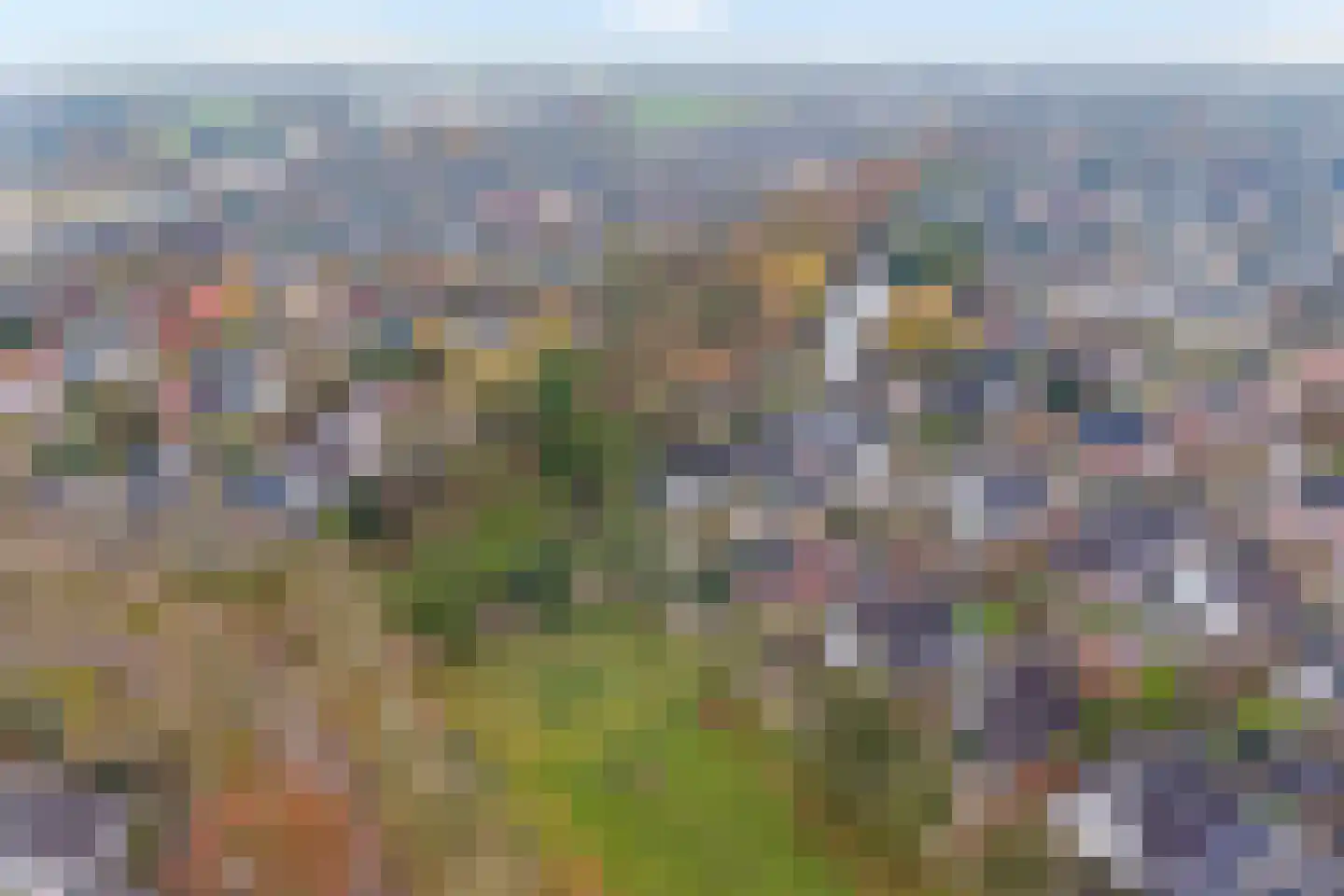Fluitekruid 36 Hardenberg thumbnail 8