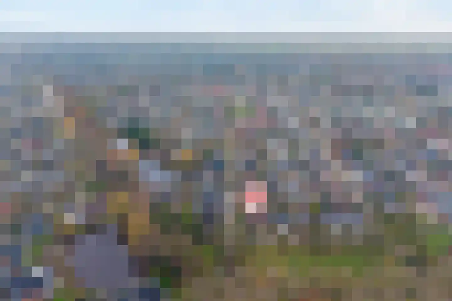 Fluitekruid 36 Hardenberg thumbnail 9