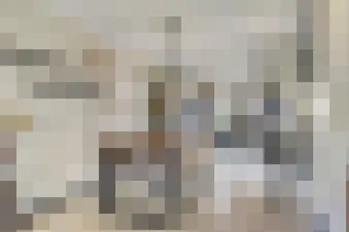 Fluitekruid 38 Hardenberg thumbnail 10