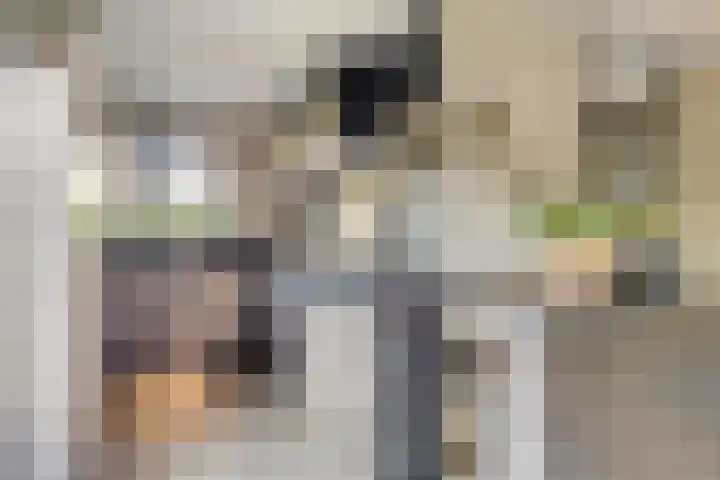 Fluitekruid 38 Hardenberg thumbnail 11