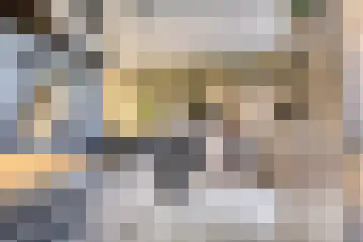 Fluitekruid 38 Hardenberg thumbnail 12