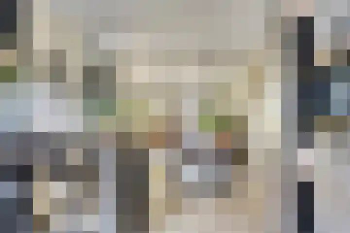 Fluitekruid 38 Hardenberg thumbnail 13