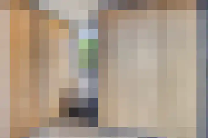 Fluitekruid 38 Hardenberg thumbnail 14
