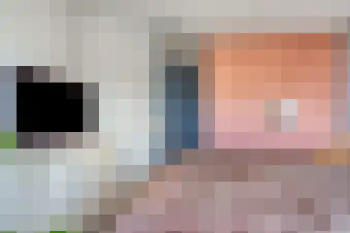 Fluitekruid 38 Hardenberg thumbnail 17