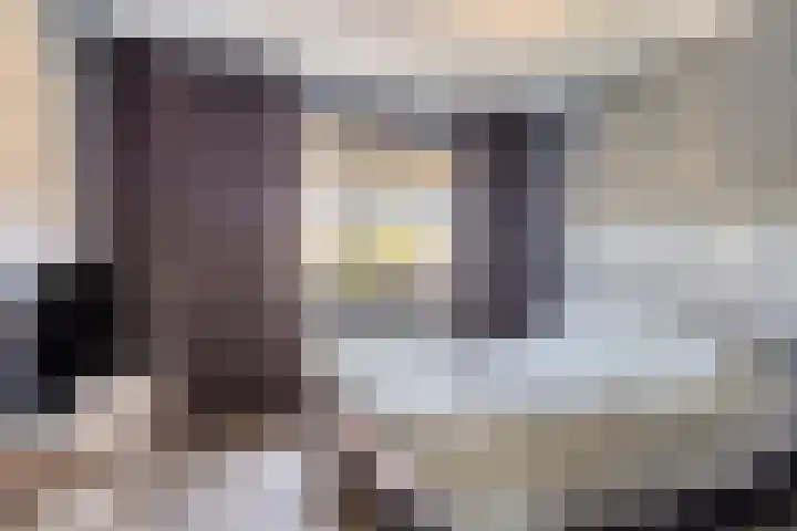 Fluitekruid 38 Hardenberg thumbnail 18