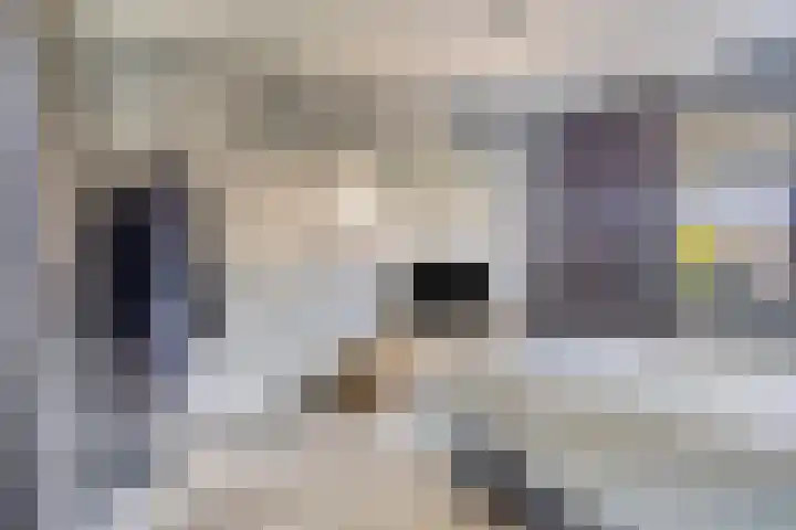 Fluitekruid 38 Hardenberg thumbnail 19