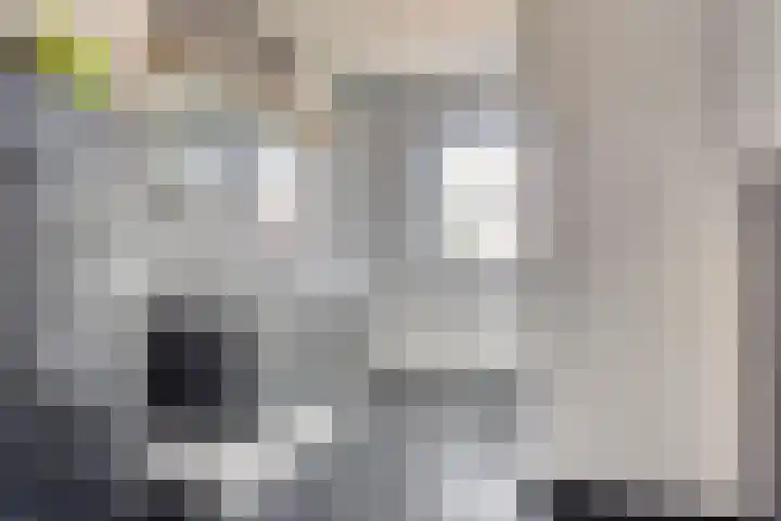 Fluitekruid 38 Hardenberg thumbnail 20