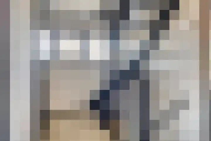Fluitekruid 38 Hardenberg thumbnail 25
