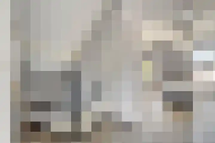Fluitekruid 38 Hardenberg thumbnail 26