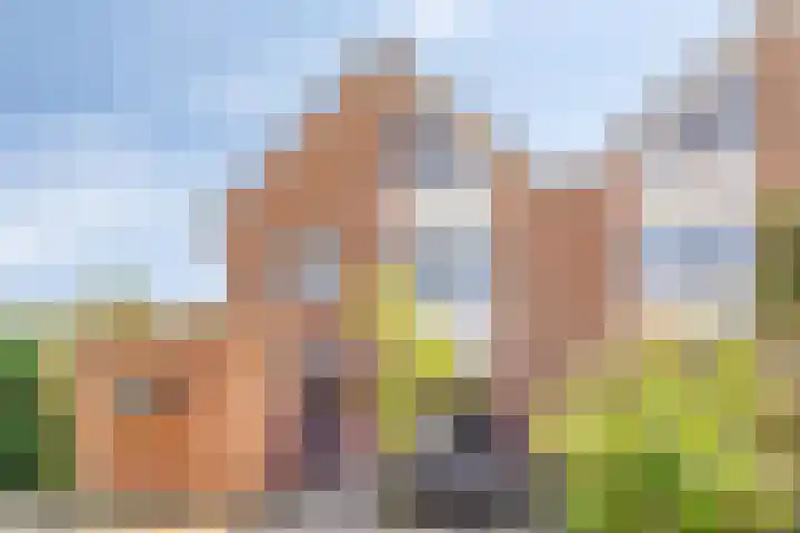 Fluitekruid 38 Hardenberg thumbnail 30