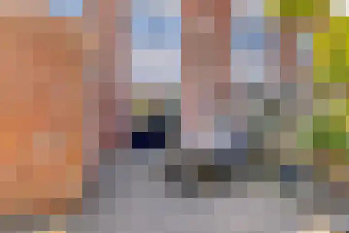 Fluitekruid 38 Hardenberg thumbnail 31