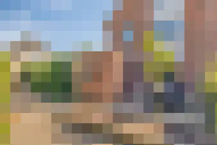 Fluitekruid 38 Hardenberg thumbnail 32