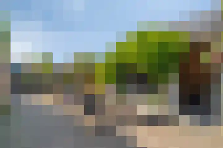 Fluitekruid 38 Hardenberg thumbnail 34